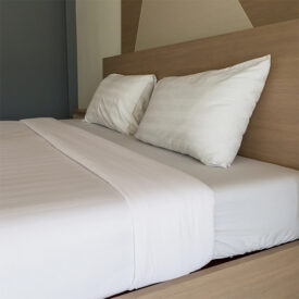 Residential Co-living Supportive Housing Program